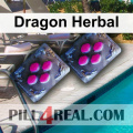Dragon Herbal 080