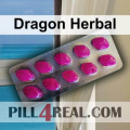 Dragon Herbal 081