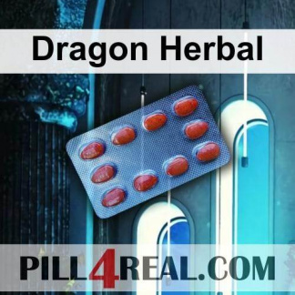 Dragon Herbal 485