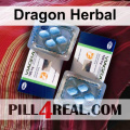 Dragon Herbal 718
