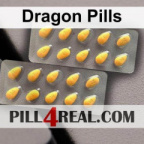 Dragon Pills 013
