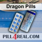 Dragon Pills 441
