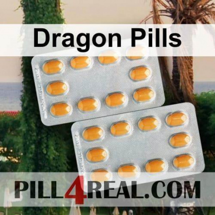 Dragon Pills 514