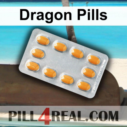 Dragon Pills 941