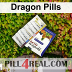 Dragon Pills 942