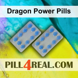 Dragon Power Pills 533