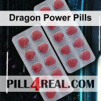 Dragon Power Pills 876