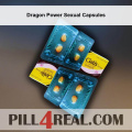 Dragon Power Sexual Capsules 920