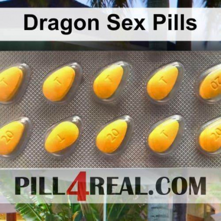 Dragon Sex Pills 786
