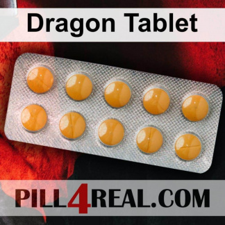 Dragon Tablet 120