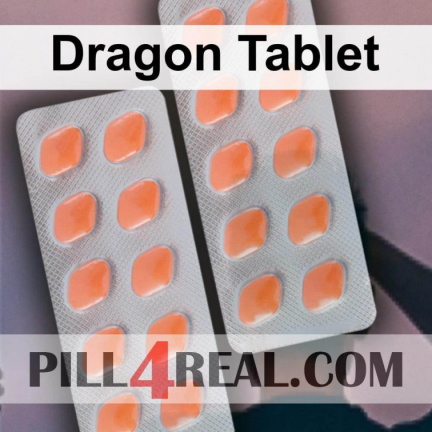 Dragon Tablet 485