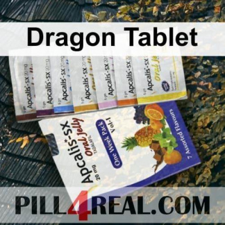 Dragon Tablet 773