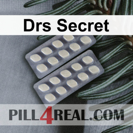Drs Secret 508