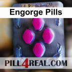 Engorge Pills 061
