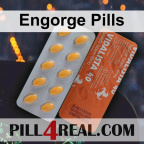 Engorge Pills 080