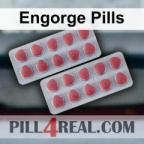 Engorge Pills 109