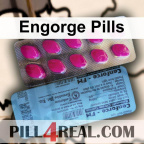 Engorge Pills 120