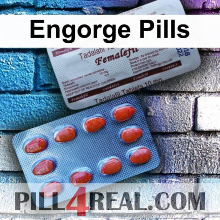 Engorge Pills 183