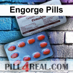 Engorge Pills 183