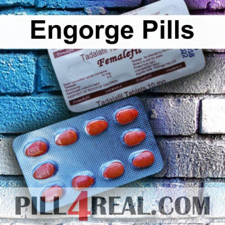 Engorge Pills 183