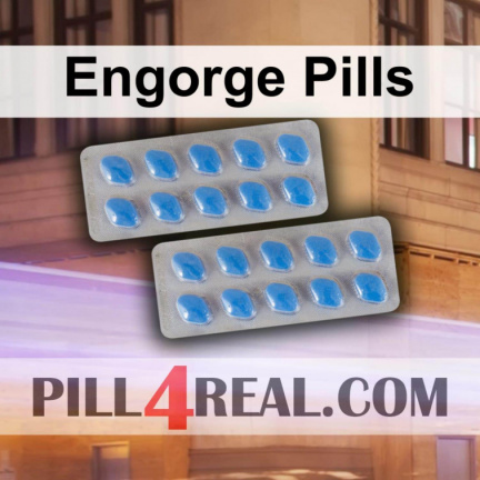 Engorge Pills 217