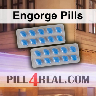 Engorge Pills 217