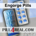 Engorge Pills 226