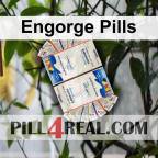 Engorge Pills 253