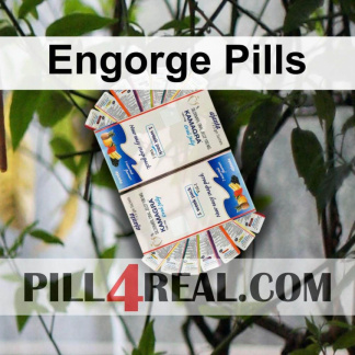Engorge Pills 253
