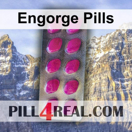 Engorge Pills 288