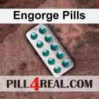 Engorge Pills 314