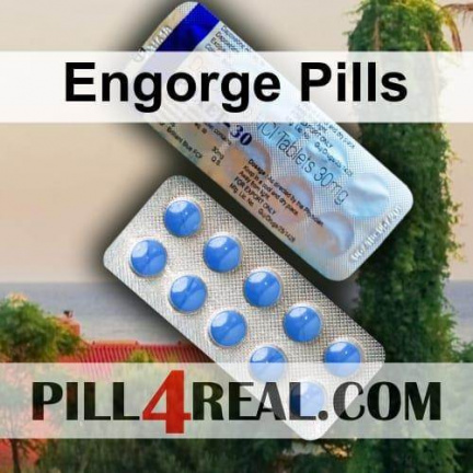 Engorge Pills 316