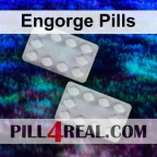 Engorge Pills 426