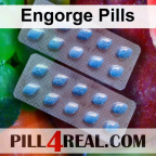 Engorge Pills 451