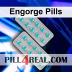 Engorge Pills 452