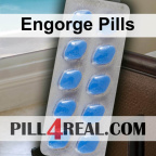 Engorge Pills 481