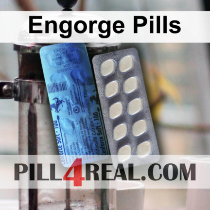 Engorge Pills 512