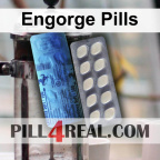 Engorge Pills 512