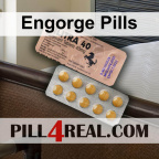 Engorge Pills 582