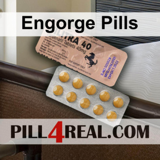 Engorge Pills 582