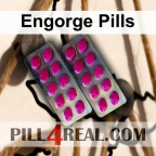 Engorge Pills 590