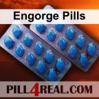 Engorge Pills 606