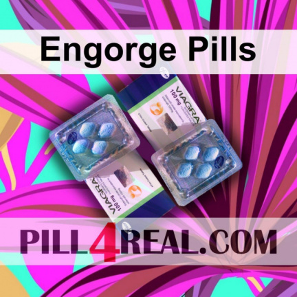 Engorge Pills 620