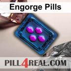 Engorge Pills 638