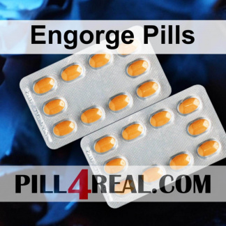 Engorge Pills 681