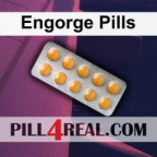 Engorge Pills 691