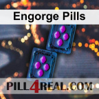 Engorge Pills 790