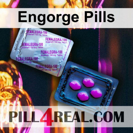 Engorge Pills 867