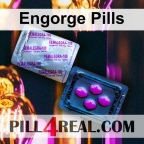 Engorge Pills 867