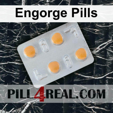 Engorge Pills 904